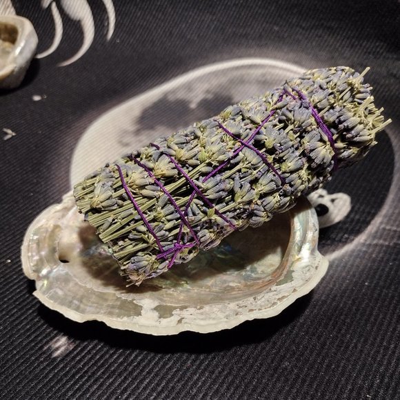 Small Abalone Seashell w/Smudge - Picture 1 of 5